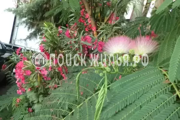 Частный сектор «На Лазарева», Лазаревское