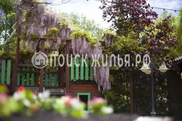 «Tortuga», Небуг