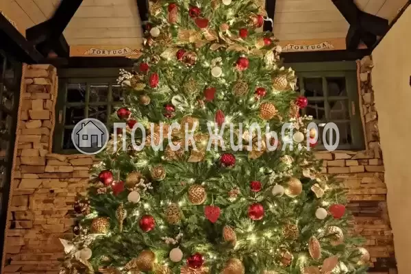 «Tortuga», Небуг