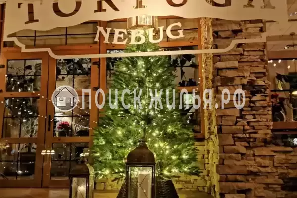 «Tortuga», Небуг