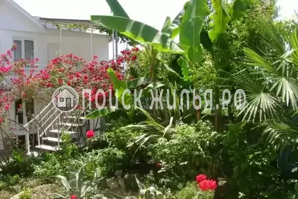 «Итинисан», Адлер «Итинисан», Адлер