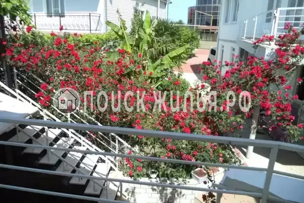 «Итинисан», Адлер «Итинисан», Адлер