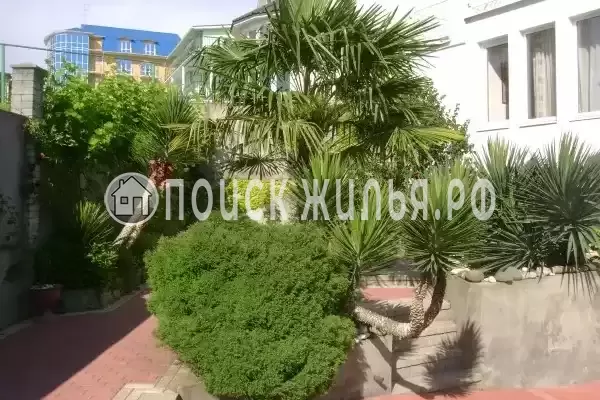 «Итинисан», Адлер «Итинисан», Адлер