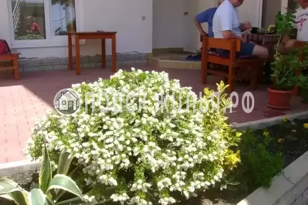 «Итинисан», Адлер «Итинисан», Адлер