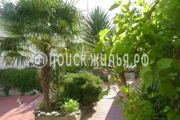 «Итинисан», Адлер «Итинисан», Адлер