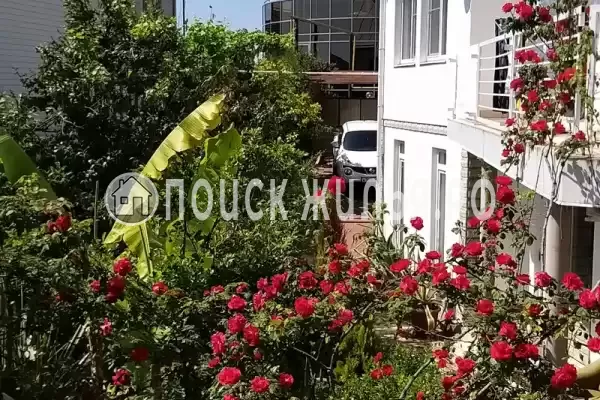 «Итинисан», Адлер «Итинисан», Адлер