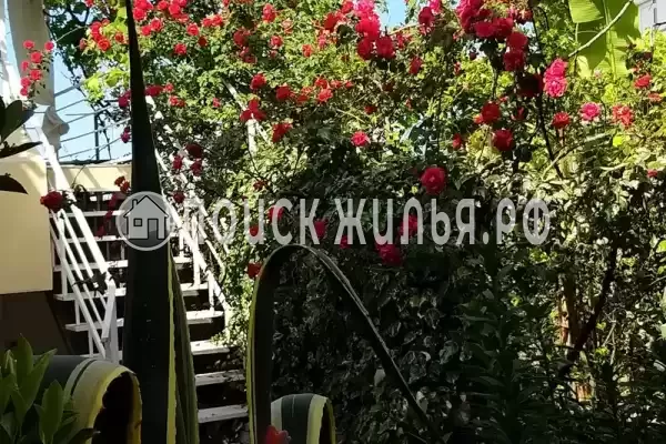 «Итинисан», Адлер «Итинисан», Адлер