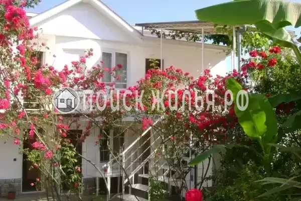 «Итинисан», Адлер «Итинисан», Адлер