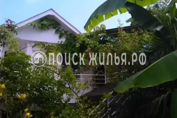 «Итинисан», Адлер «Итинисан», Адлер