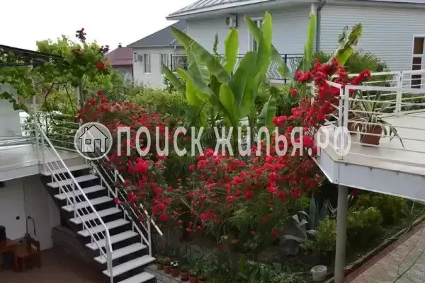 «Итинисан», Адлер «Итинисан», Адлер