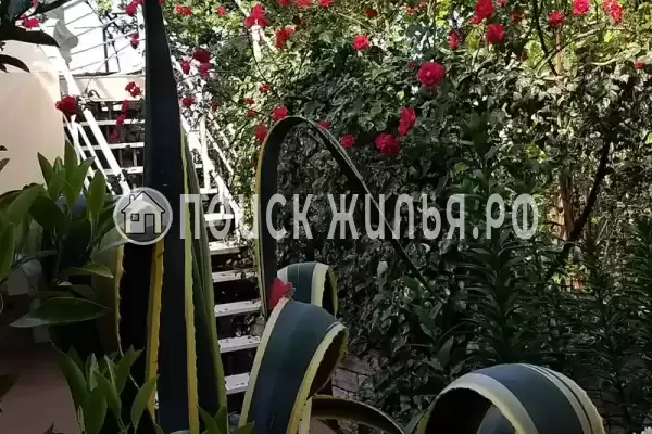 «Итинисан», Адлер «Итинисан», Адлер