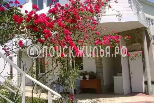 «Итинисан», Адлер «Итинисан», Адлер