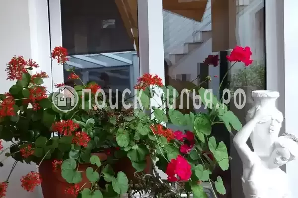 «Итинисан», Адлер «Итинисан», Адлер