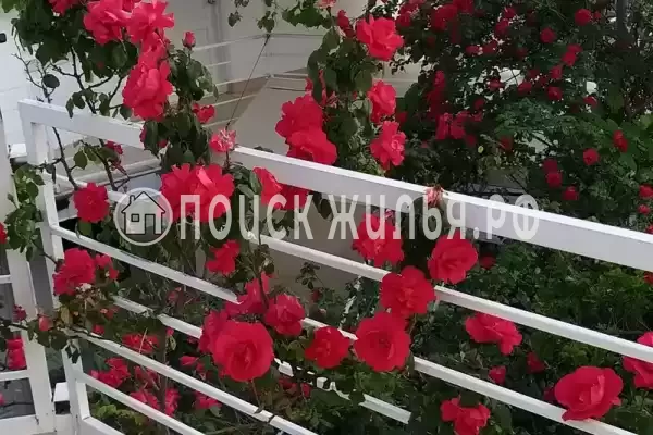 «Итинисан», Адлер «Итинисан», Адлер