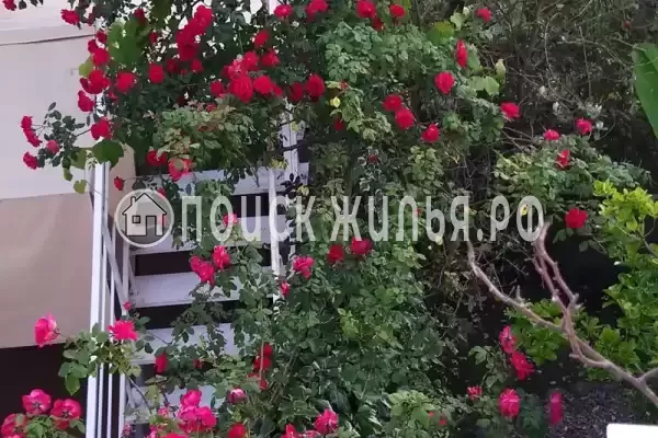 «Итинисан», Адлер «Итинисан», Адлер