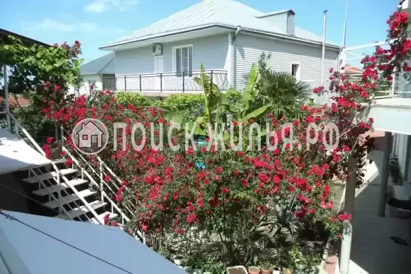 «Итинисан», Адлер «Итинисан», Адлер