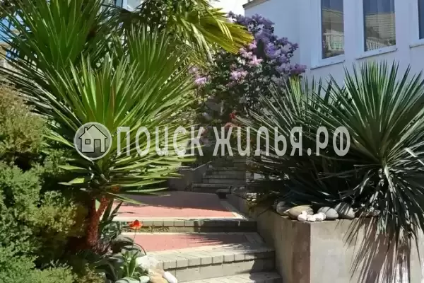 «Итинисан», Адлер «Итинисан», Адлер