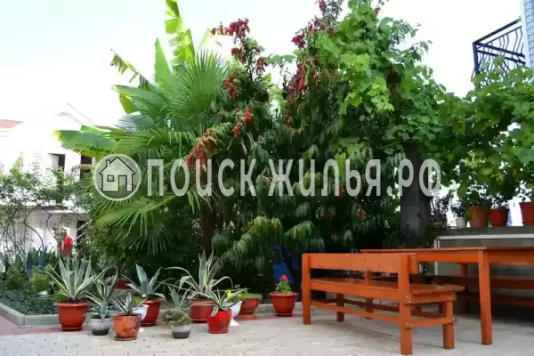 «Итинисан», Адлер «Итинисан», Адлер