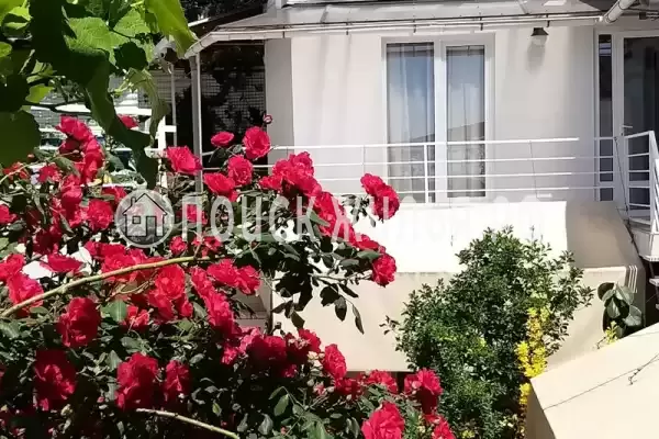 «Итинисан», Адлер «Итинисан», Адлер