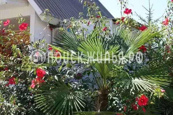 «Светлана», Лоо «Светлана», Лоо