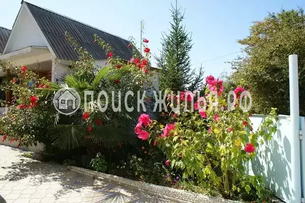 «Светлана», Лоо «Светлана», Лоо