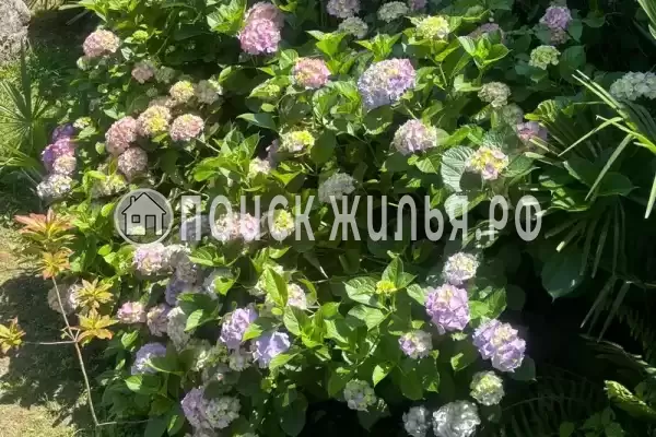 «Чё Hotel», Волконка