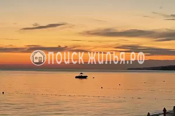 «Зеленый рай», Солоники «Зеленый рай», Солоники