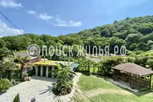 «Зеленый рай», Солоники «Зеленый рай», Солоники