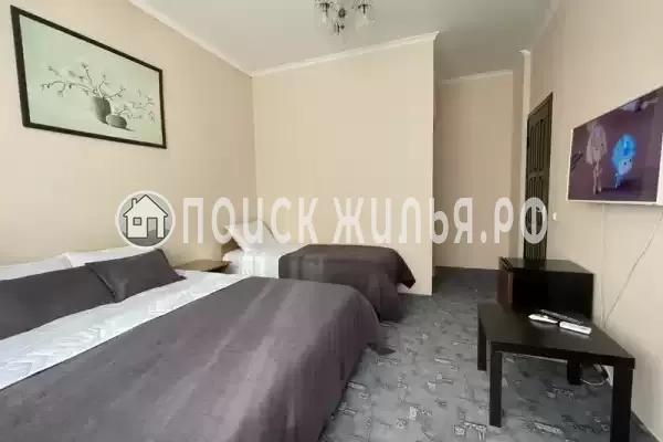 «Зеленый рай», Солоники «Зеленый рай», Солоники