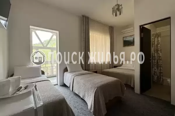 «Зеленый рай», Солоники «Зеленый рай», Солоники