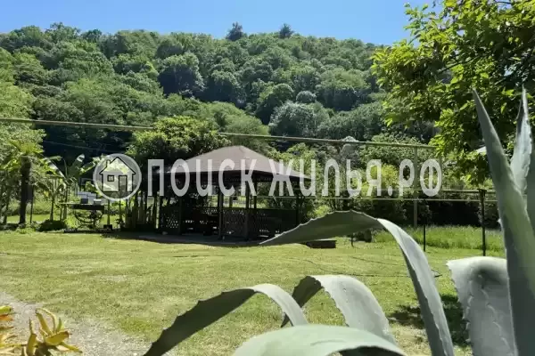 «Зеленый рай», Солоники «Зеленый рай», Солоники