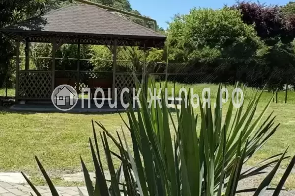 «Зеленый рай», Солоники «Зеленый рай», Солоники