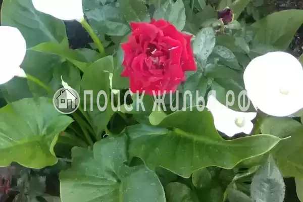 Частный сектор «У Анны», Вардане