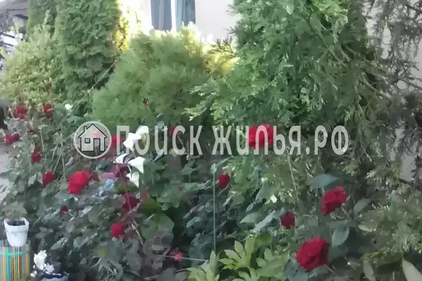 Частный сектор «У Анны», Вардане