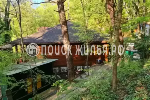 Частный сектор «Императрица», Джанхот Частный сектор «Императрица», Джанхот