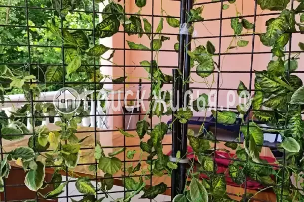 Частный сектор «Императрица», Джанхот Частный сектор «Императрица», Джанхот