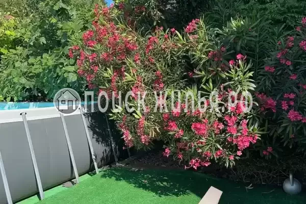 Гостевой дом «Альмира», Лоо