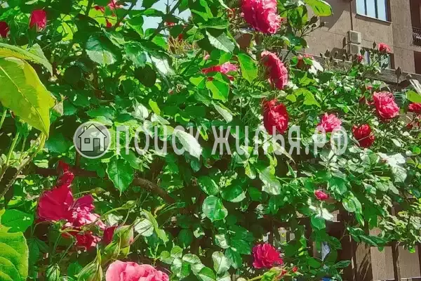 Гостевой дом «Diverona», Дивноморское