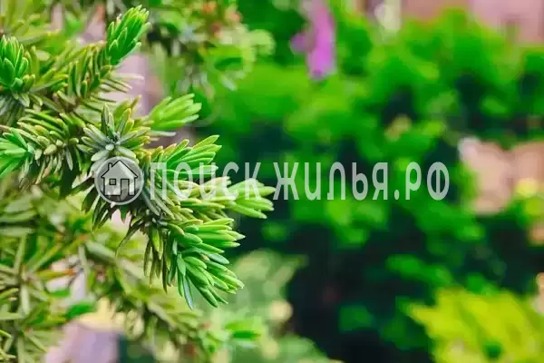 Гостевой дом «Diverona», Дивноморское