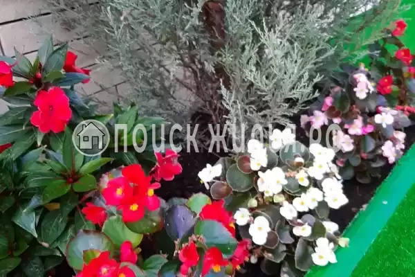 Гостиница «Лили», Лоо Гостиница «Лили», Лоо