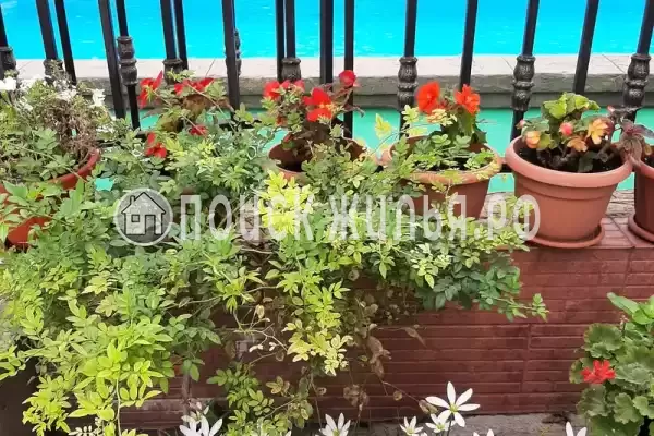 Гостиница «Лили», Лоо Гостиница «Лили», Лоо