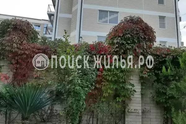 Гостиница «Лили», Лоо Гостиница «Лили», Лоо