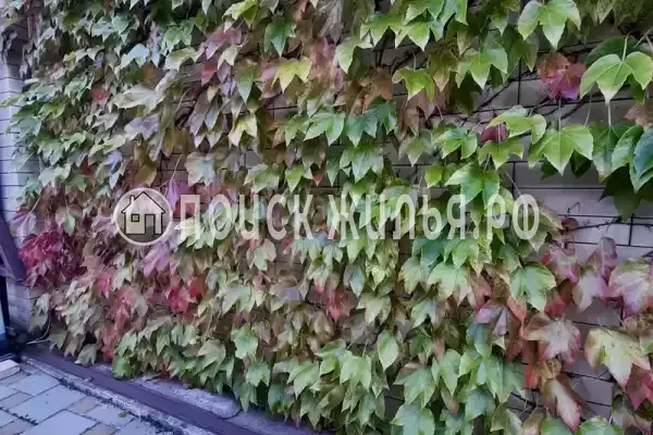 Гостиница «Лили», Лоо Гостиница «Лили», Лоо