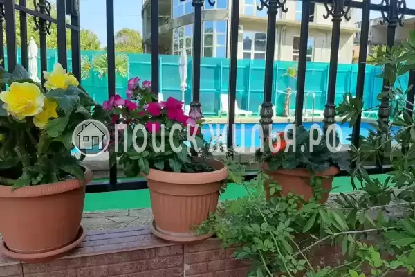 Гостиница «Лили», Лоо Гостиница «Лили», Лоо