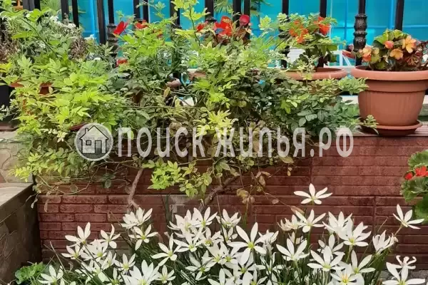 Гостиница «Лили», Лоо Гостиница «Лили», Лоо