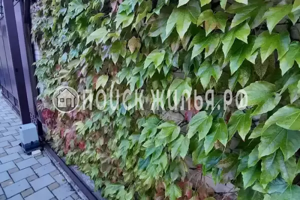 Гостиница «Лили», Лоо Гостиница «Лили», Лоо