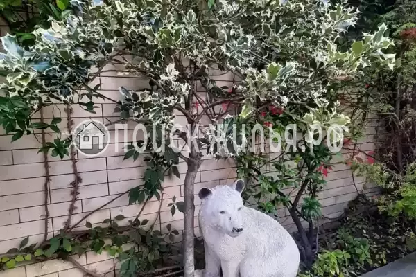 Гостиница «Лили», Лоо Гостиница «Лили», Лоо