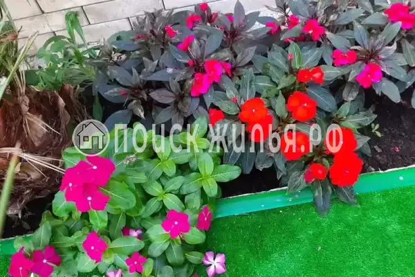 Гостиница «Лили», Лоо Гостиница «Лили», Лоо