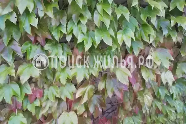 Гостиница «Лили», Лоо Гостиница «Лили», Лоо