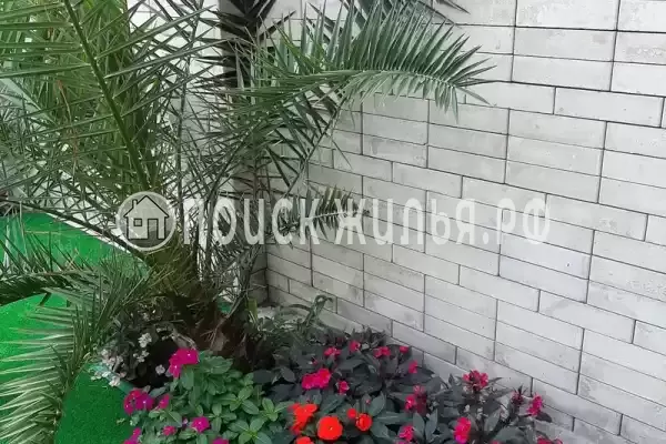 Гостиница «Лили», Лоо Гостиница «Лили», Лоо